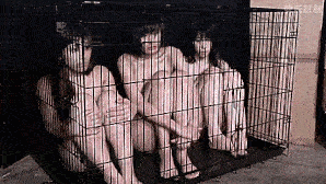 ezgif.com-gif-maker (1).gif