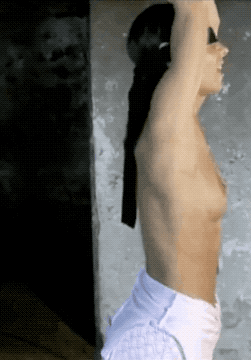 flexislave -alex whip 1  AOH LOOP small.gif