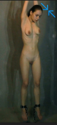 w55.jpg