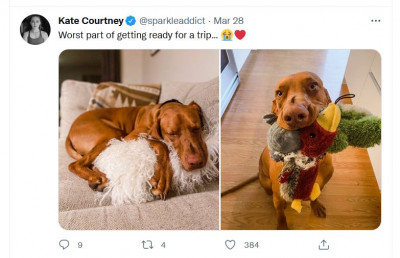 Kate Courtney Twitter