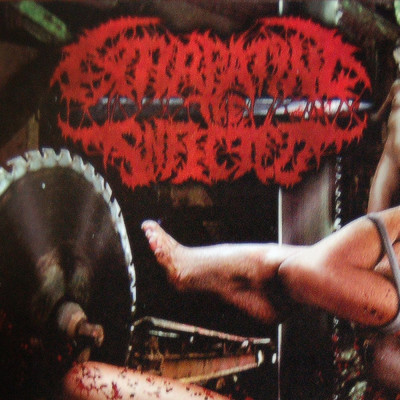 Extirpating the Infected 'Vaginal Saw Entorturement' (2009).jpg