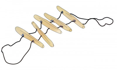 Xiaobian - set of sticks to torture fingers