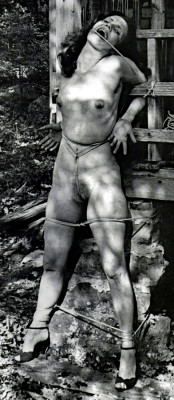 She also starred in the Erotic Perversion series that was filmed for the European market (next three).