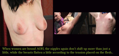breasts-nipple placement_aoh orientationj.jpg