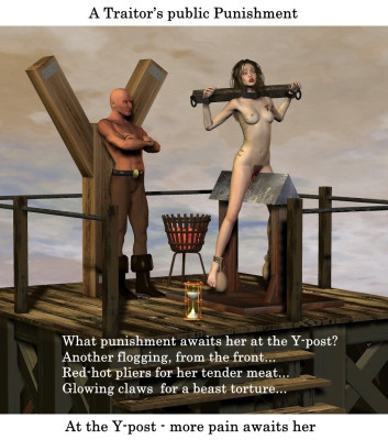A Traitor's public Punishment (9)