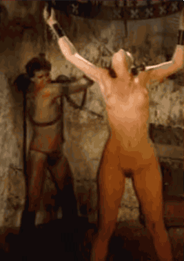 017.gif