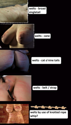 welts comp1-colorfill.jpg