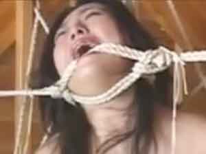 Various short clips 12-2.jpg