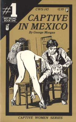 cws-145-captive-in-mexico-by-george-morgan-eb.jpg