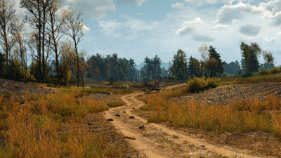 ciri wheel 15A.jpg