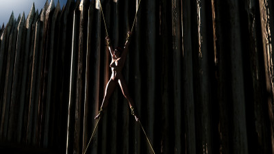 palisade Untitled-1.jpg
