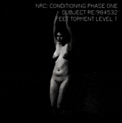 NRCFTL1.gif