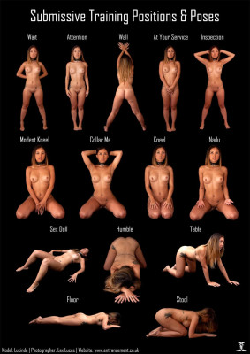 Gorean female slave training positions