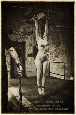 Lucy hanging from the ceiling