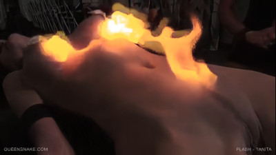 Queensnake_00.35aflashpaper.jpg